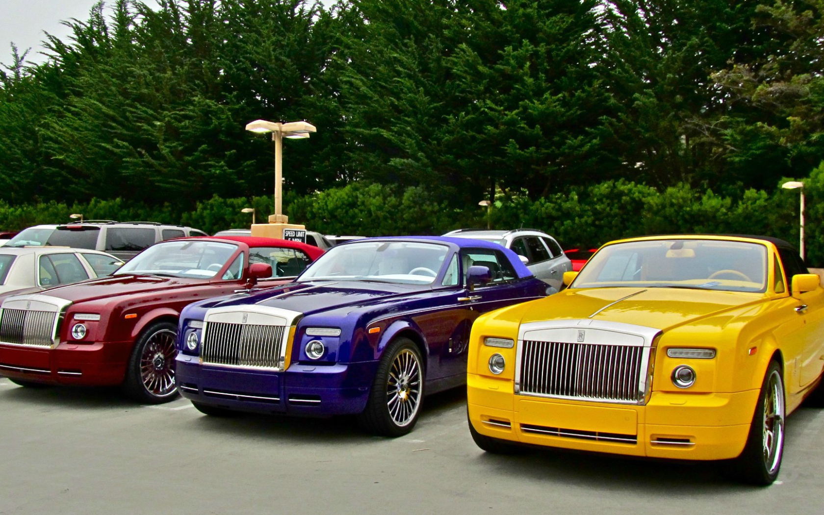 Яркие автомобили Rolls-Royce Phantom