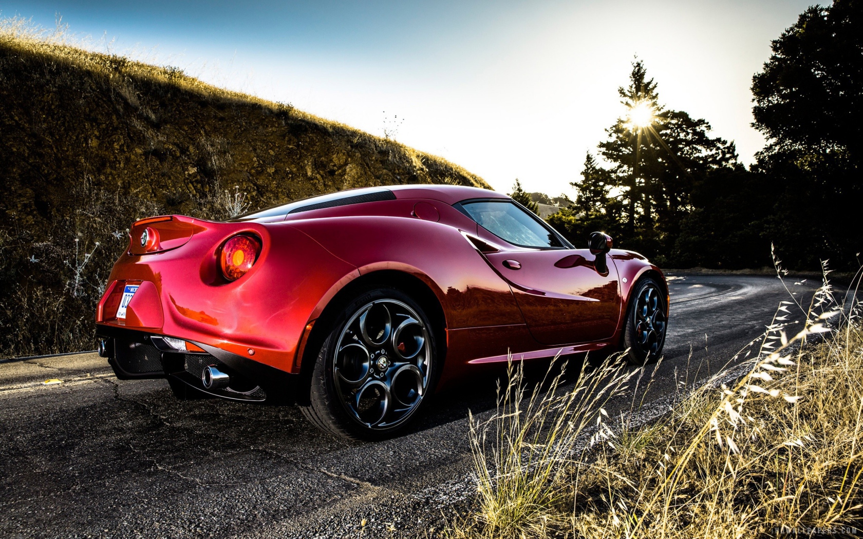 Красная Alfa Romeo 4C на повороте дороги