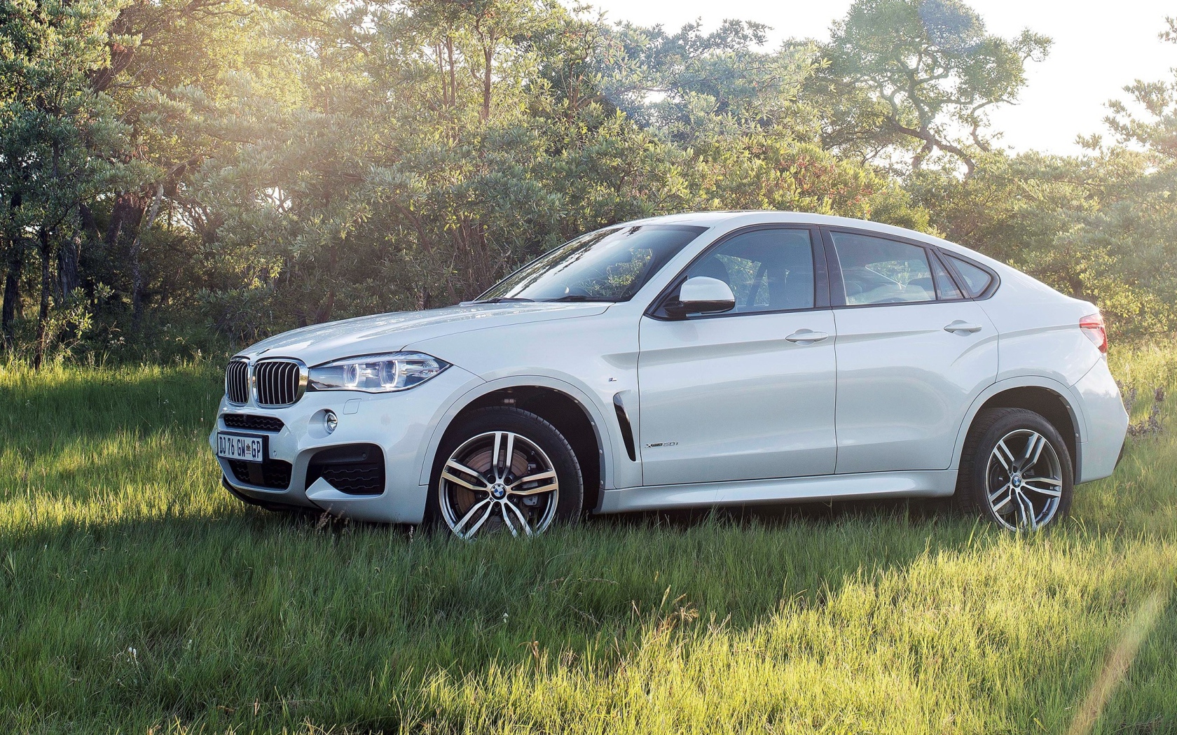 Полноприводный белый BMW на траве