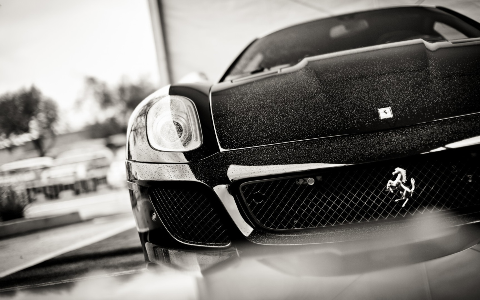 Черно белое фото авто Ferrari