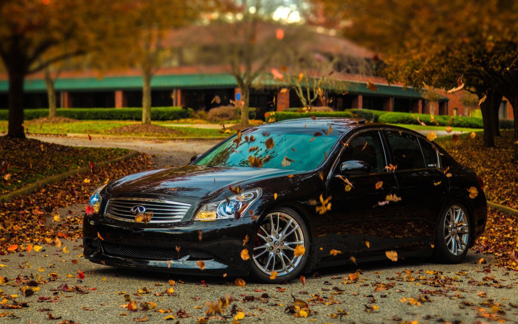 Автомобиль Infiniti в осеннем парке