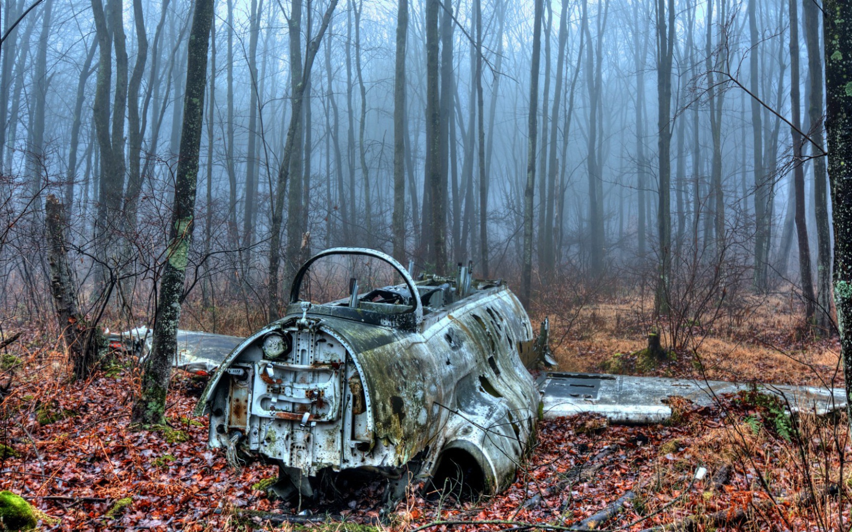 Обломки самолета в лесу