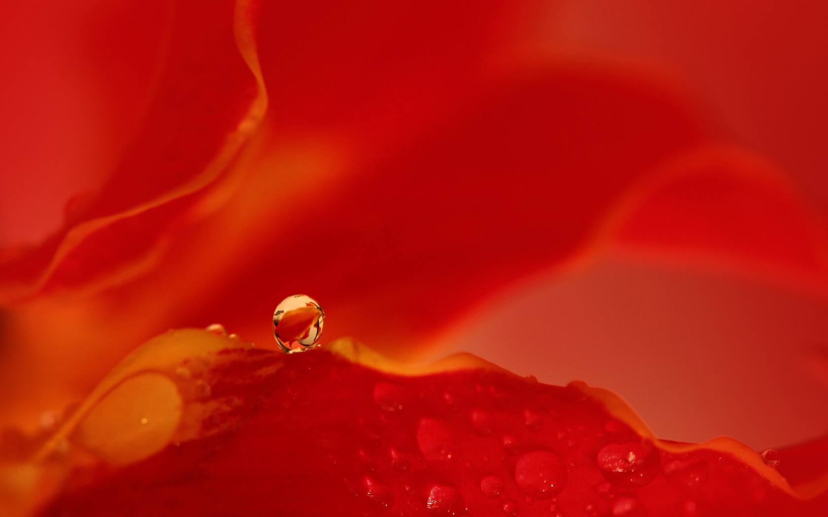 Капля воды на красном фоне