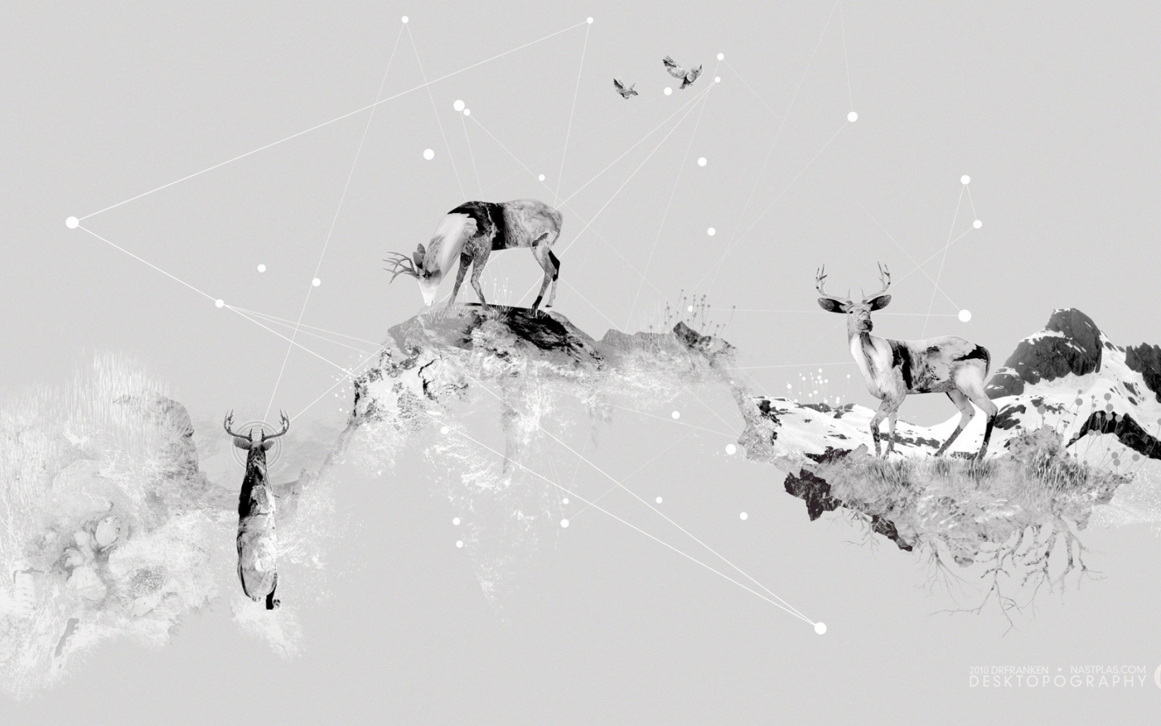 Олени в горах, серый фон