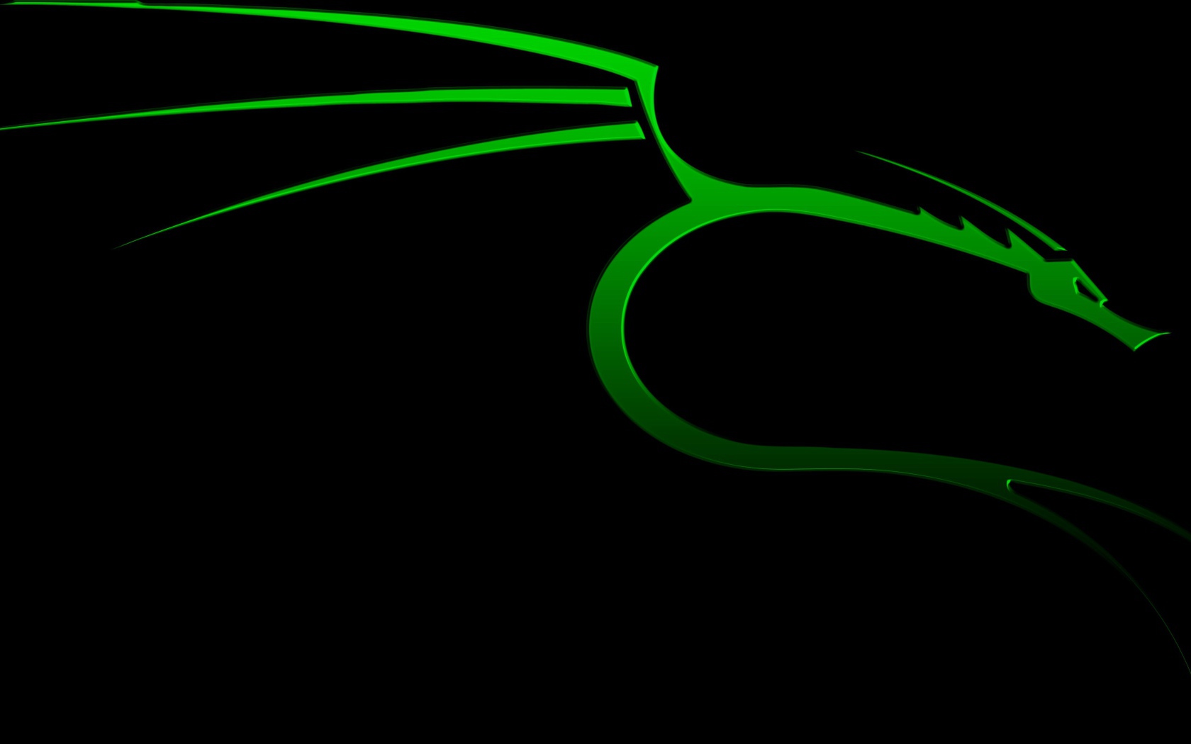 Зеленый дракон на черном фоне Kali Linux