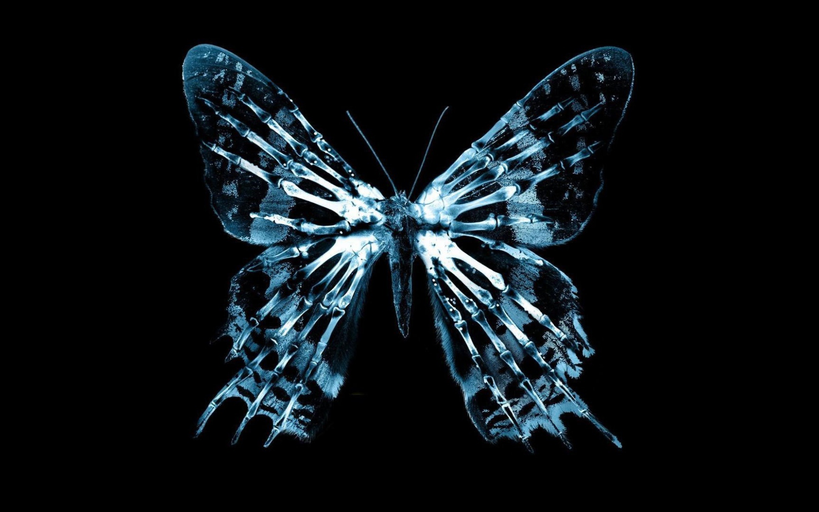 Неоновая фигура бабочки