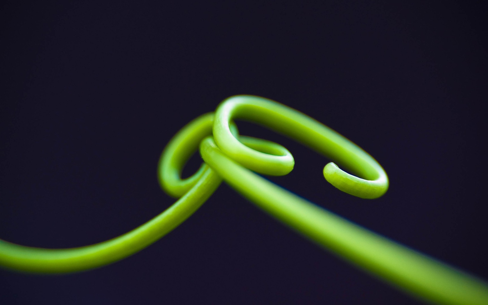 Нежные зеленые ростки на темном фоне