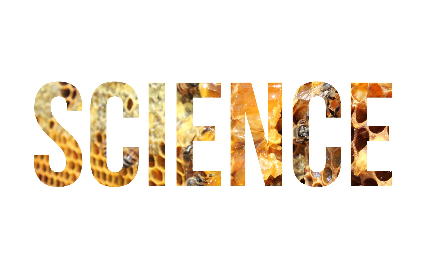 Надпись Наука на фоне улья