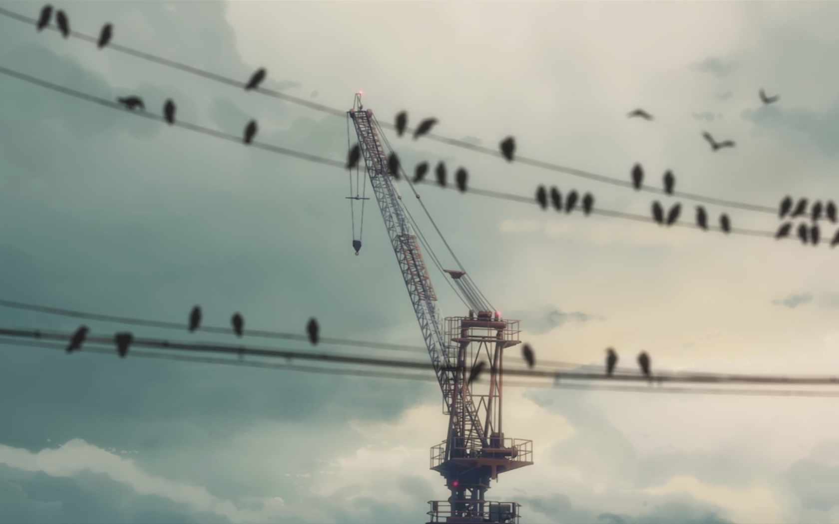 Птицы сидят на проводах на фоне строительного крана