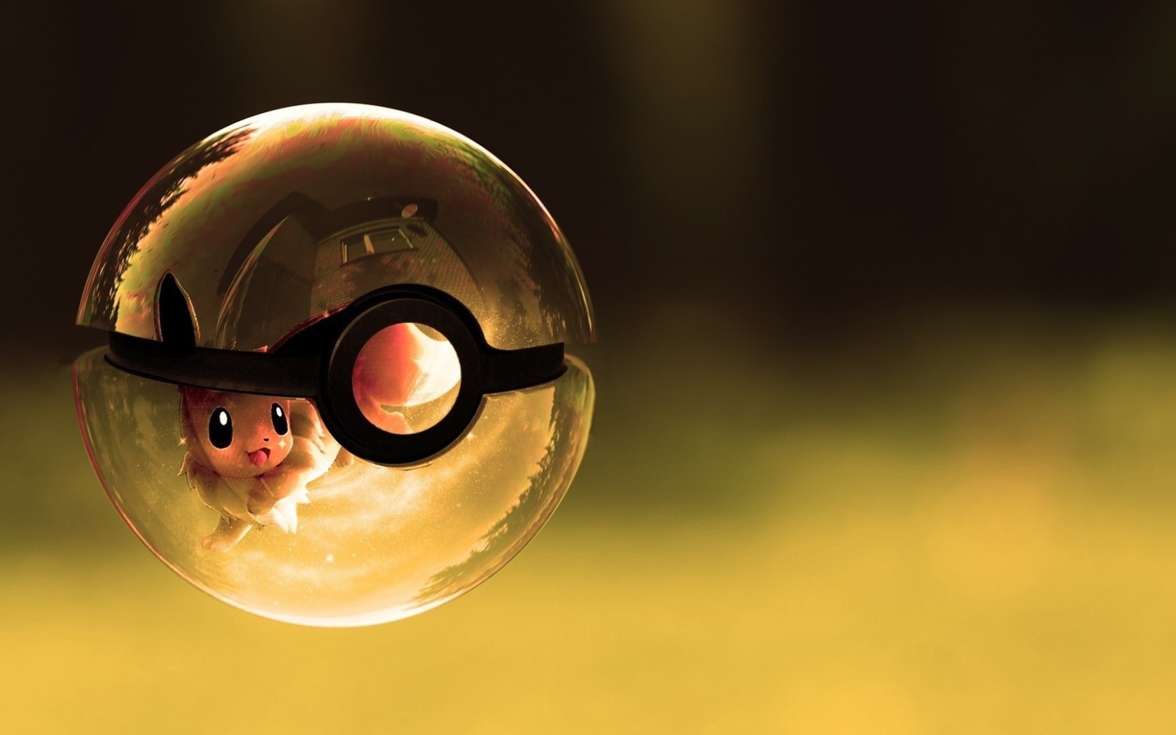 Покемон в прозрачном покеболле