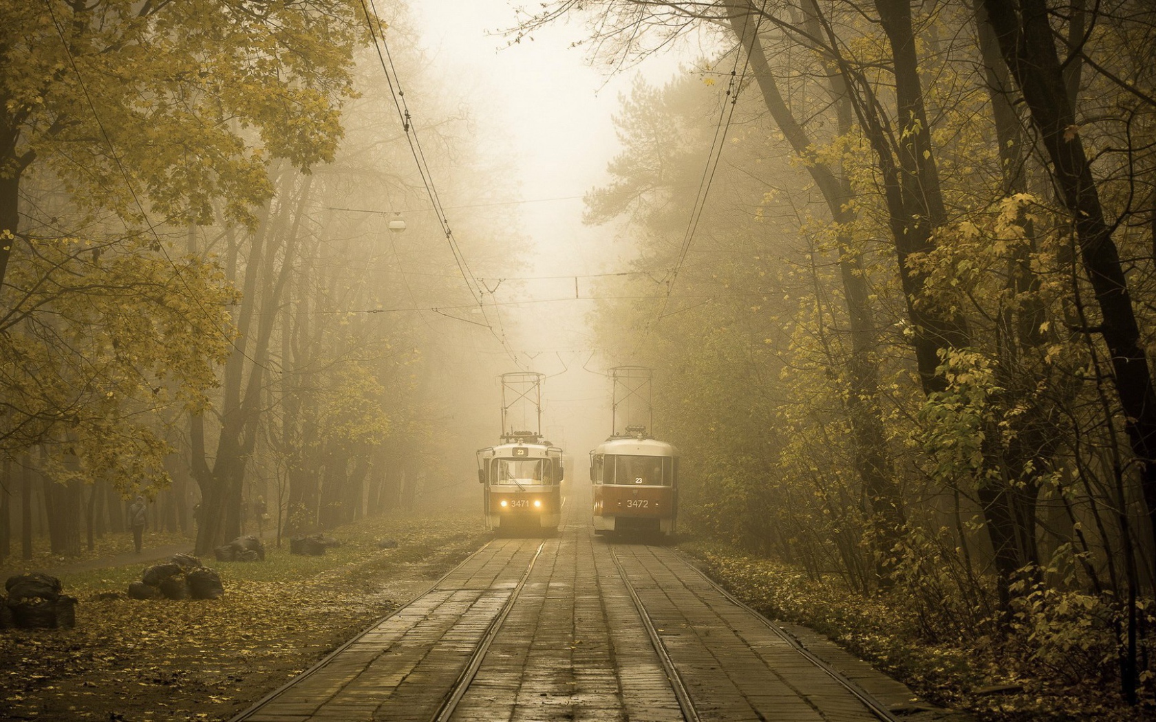 Два трамвая на линии в городском парке