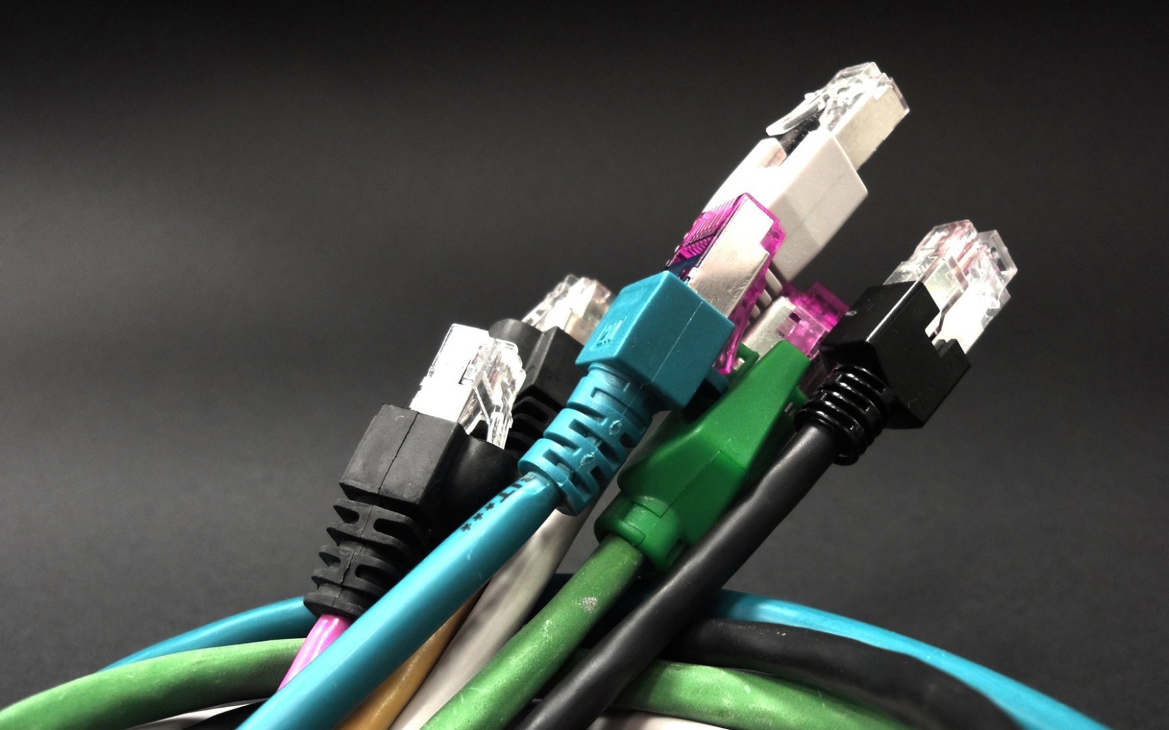 Букет компьютерных тюльпанов