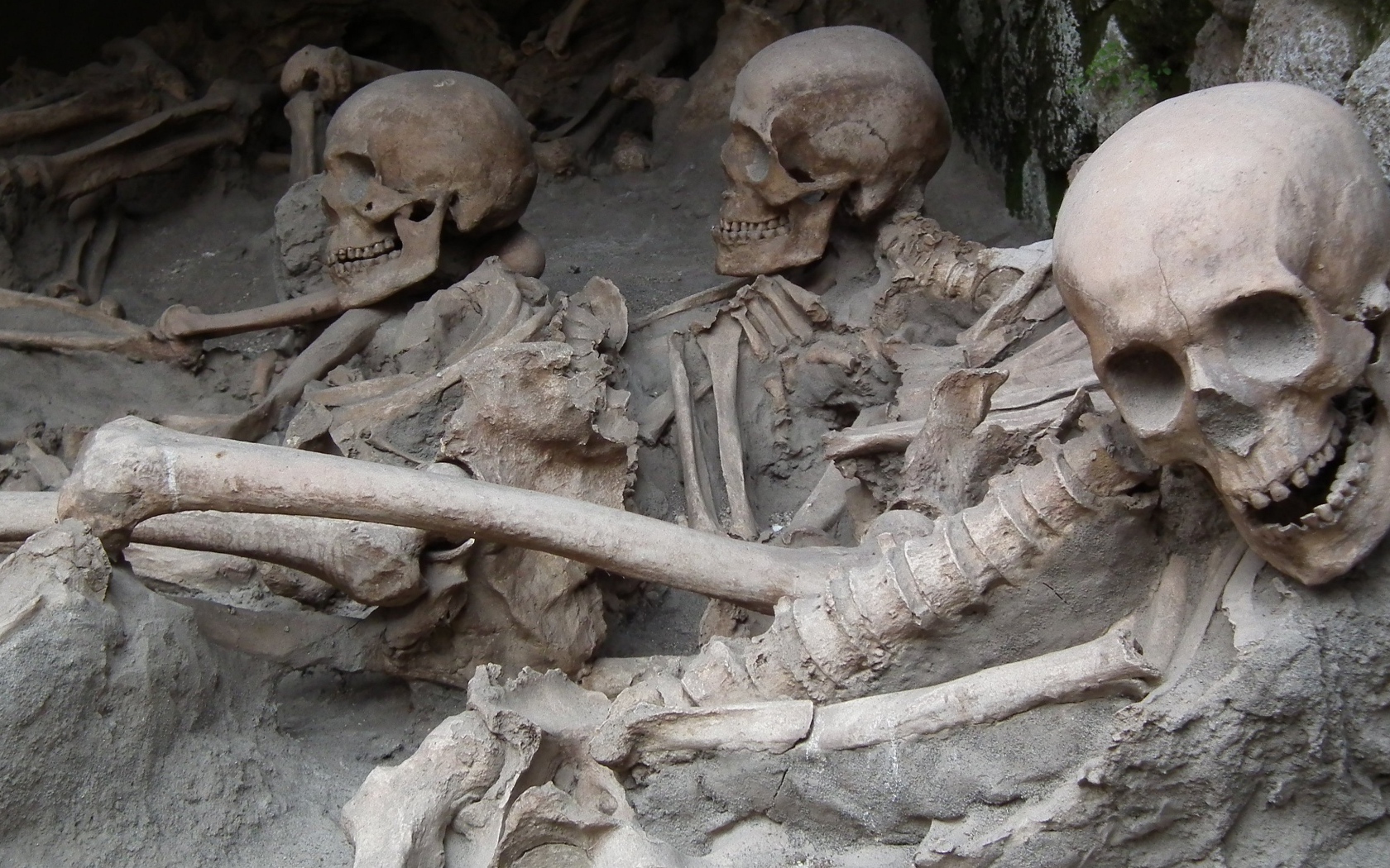 Археологические раскопки древнего захоронения