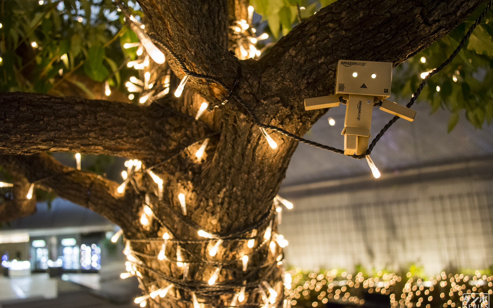 Дандо на гирлянде