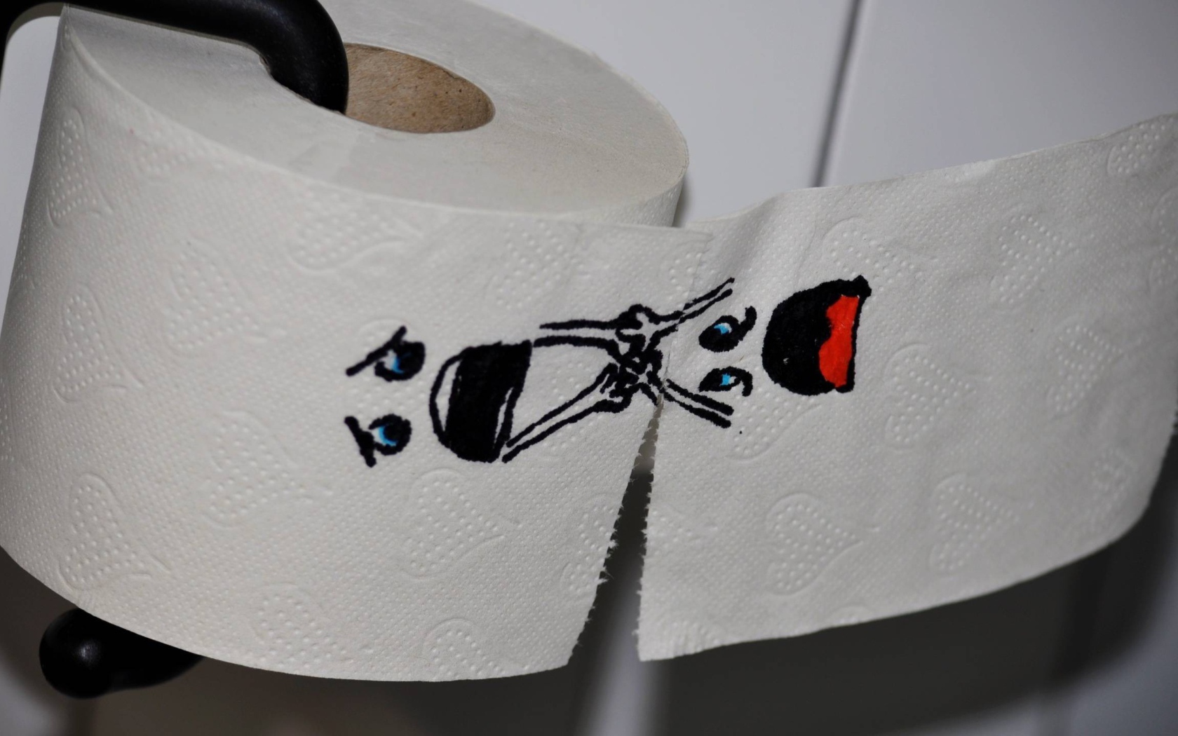 Рисунок на туалетной бумаге