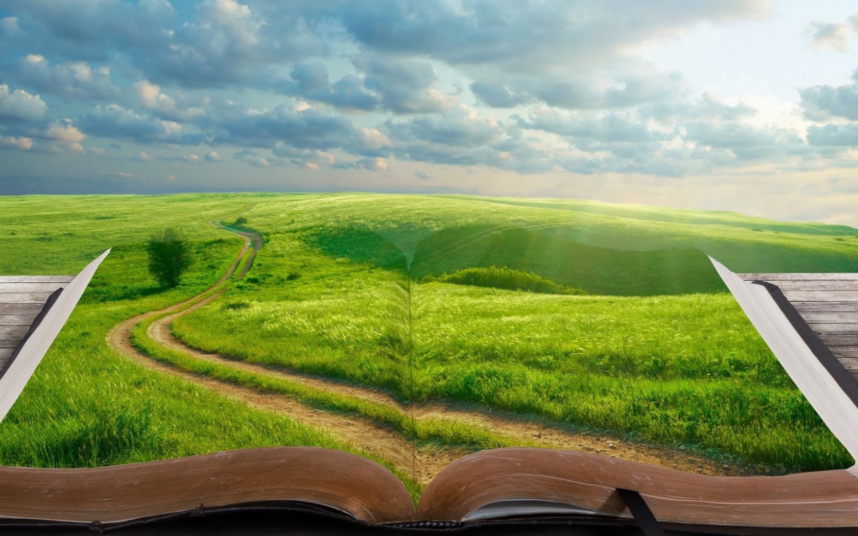 В книге целый мир