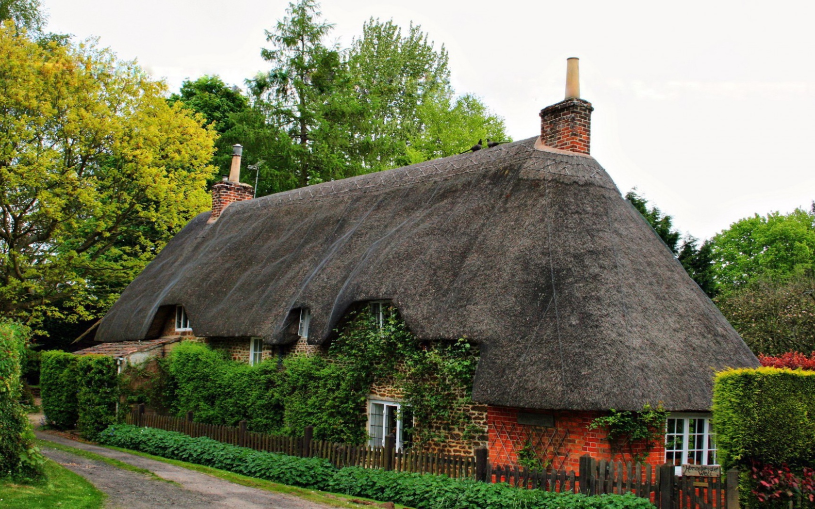 Старый дом, увитый плющом