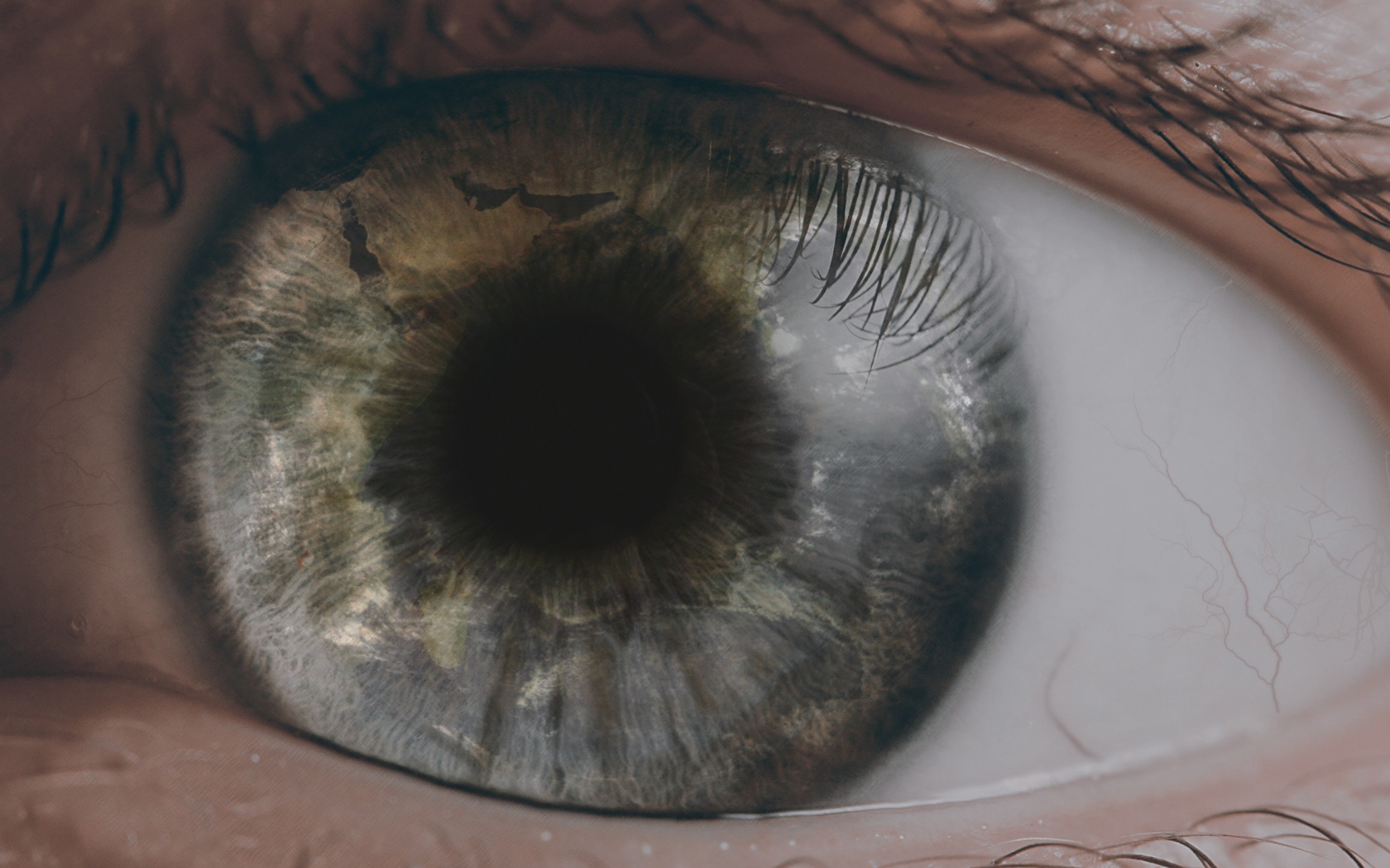 Открытый глаз человека
