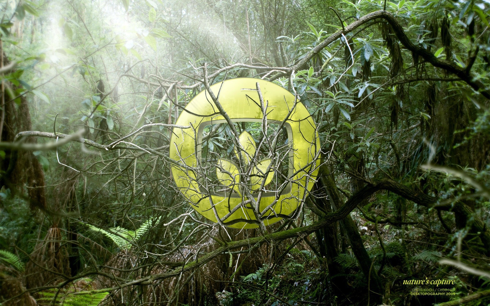 Символ лепестков на фоне зарослей