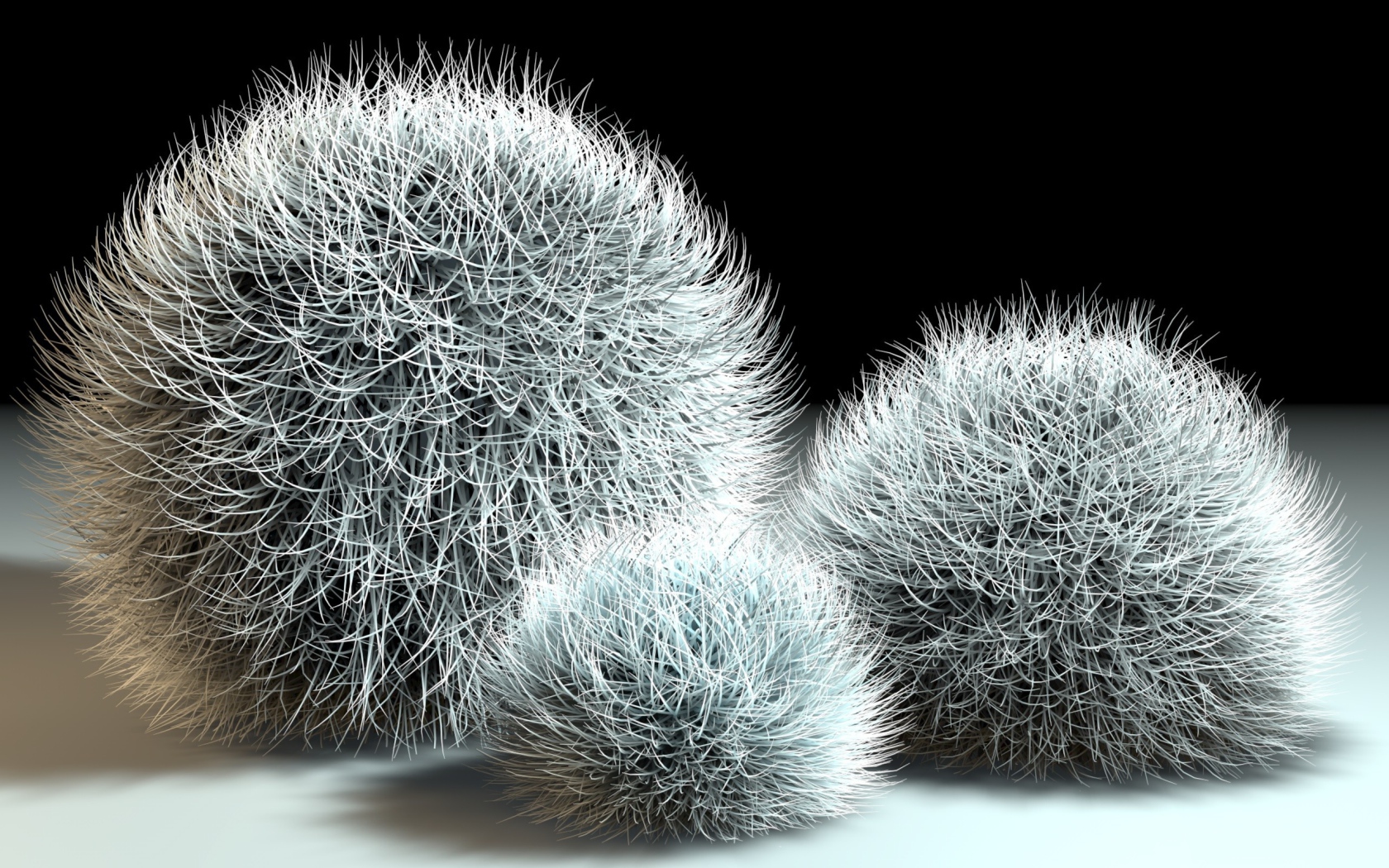 Шарики из мха