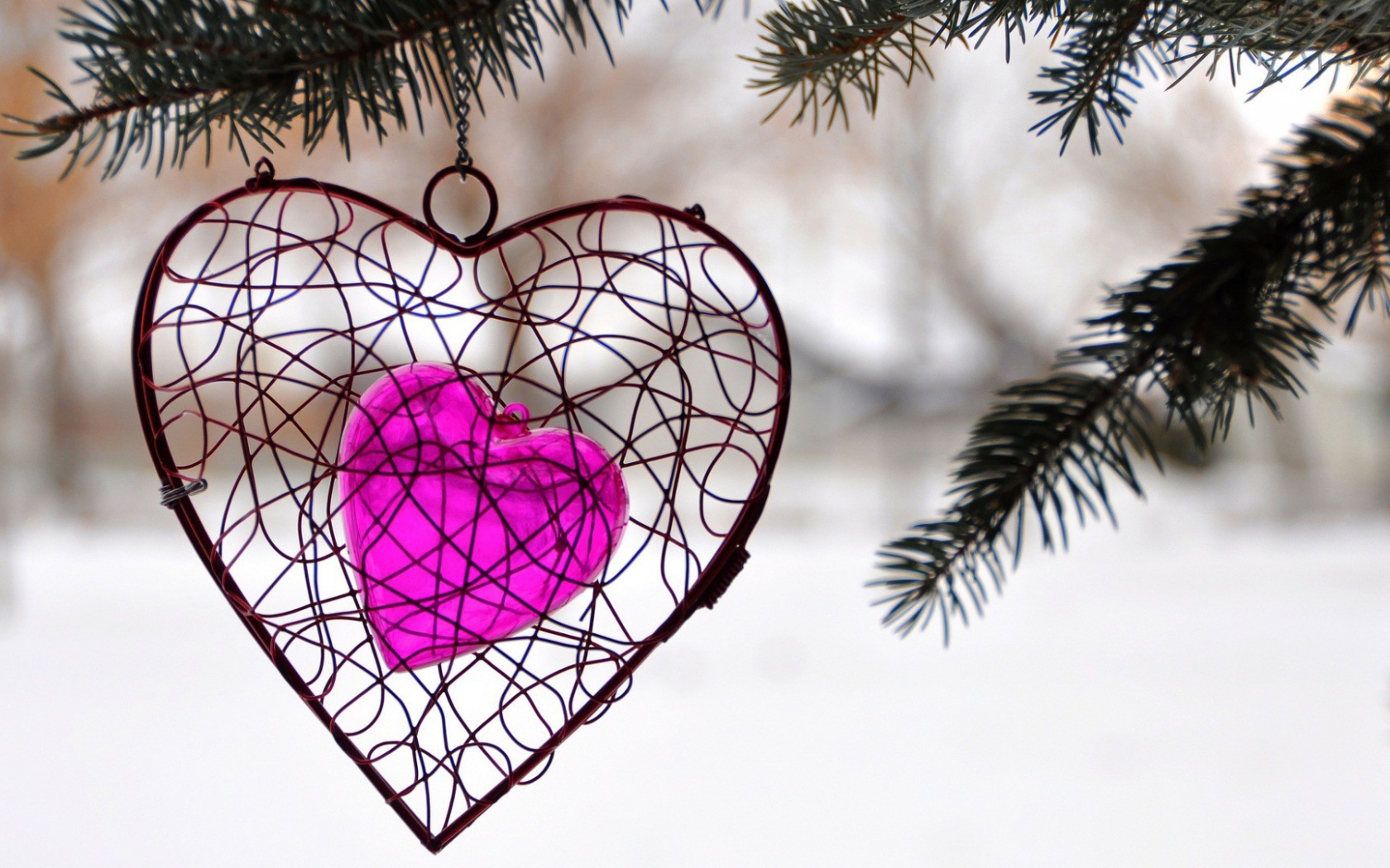 Украшение в виде сердца висит на ветке ели
