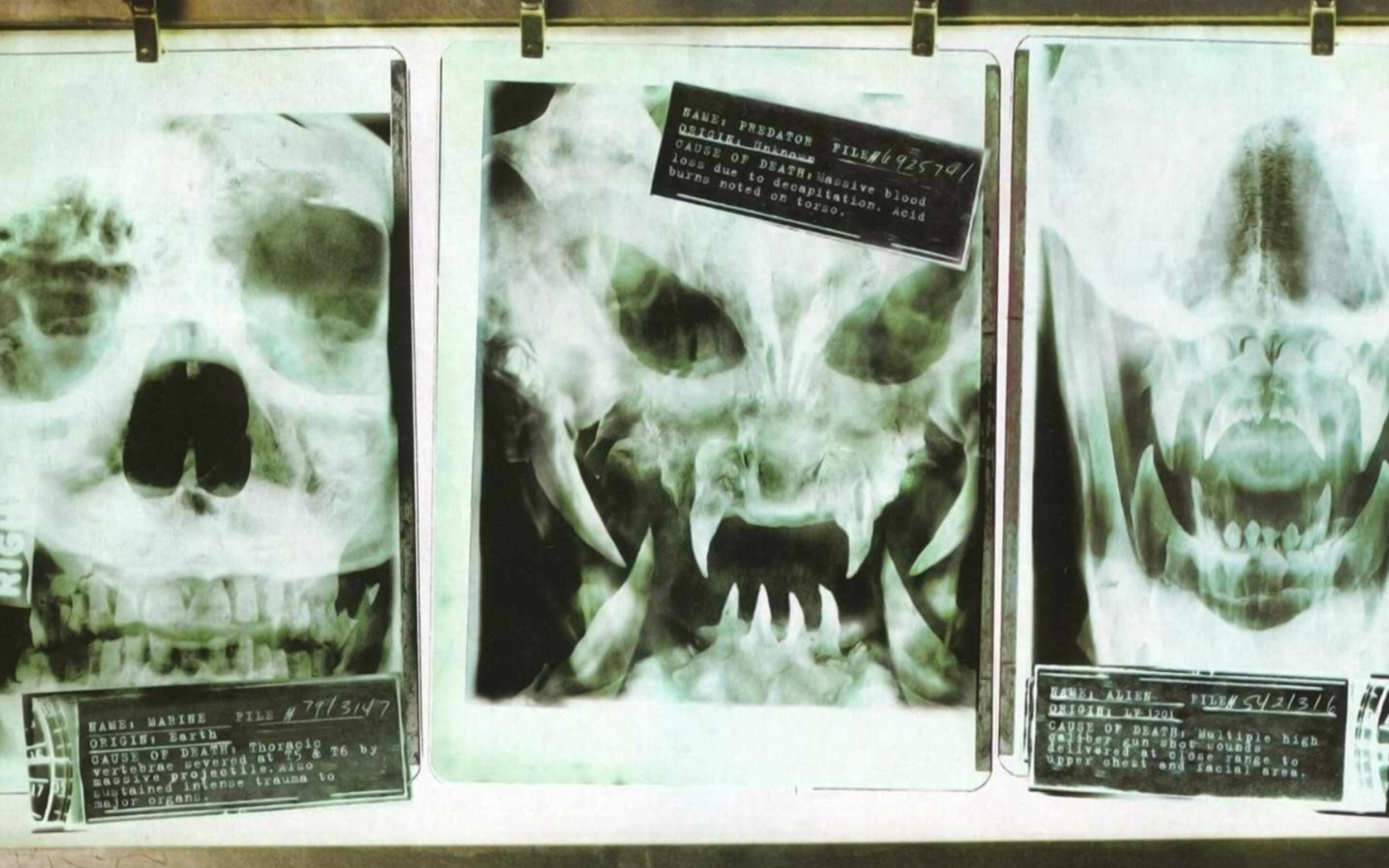 Рентгеновские снимки опасных созданий