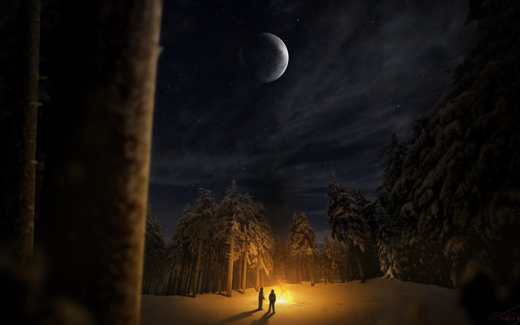 Костер в лесной чаще