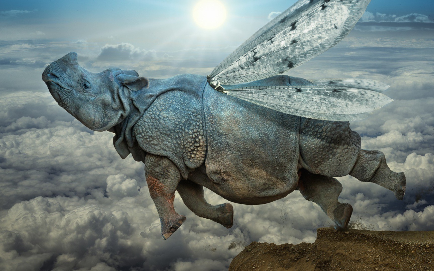 Носорог с крыльями стрекозы