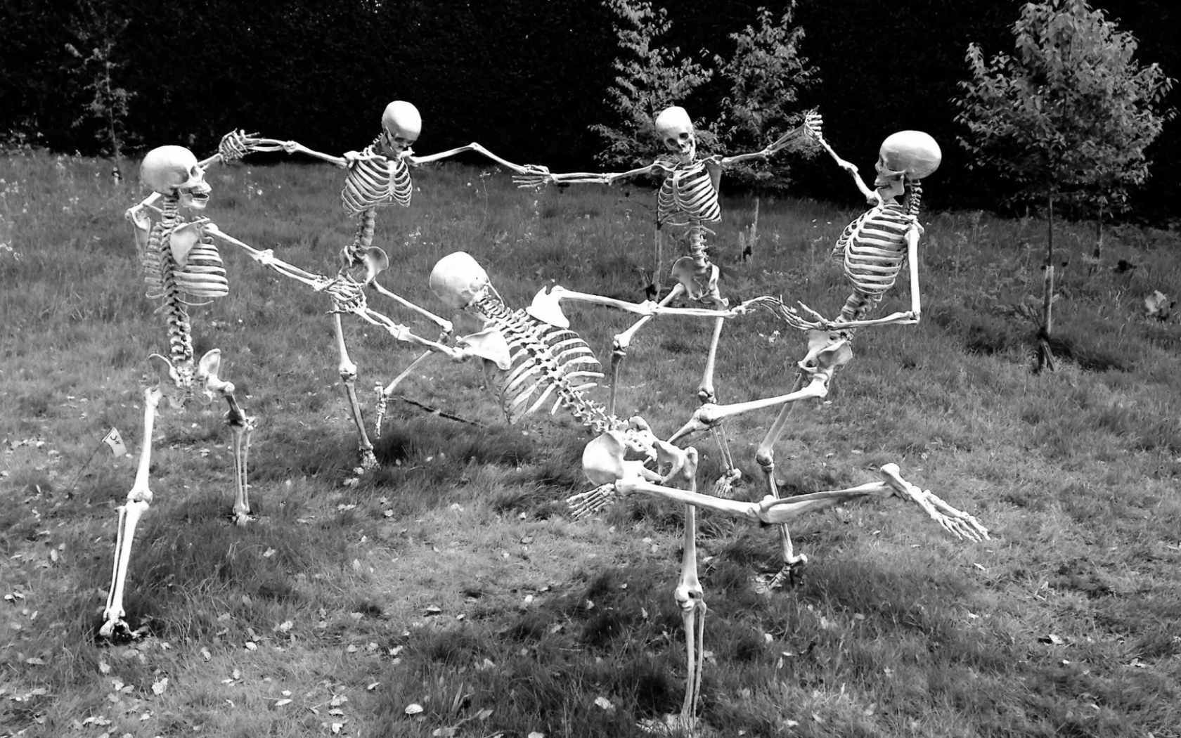 Скелеты водят хоровод