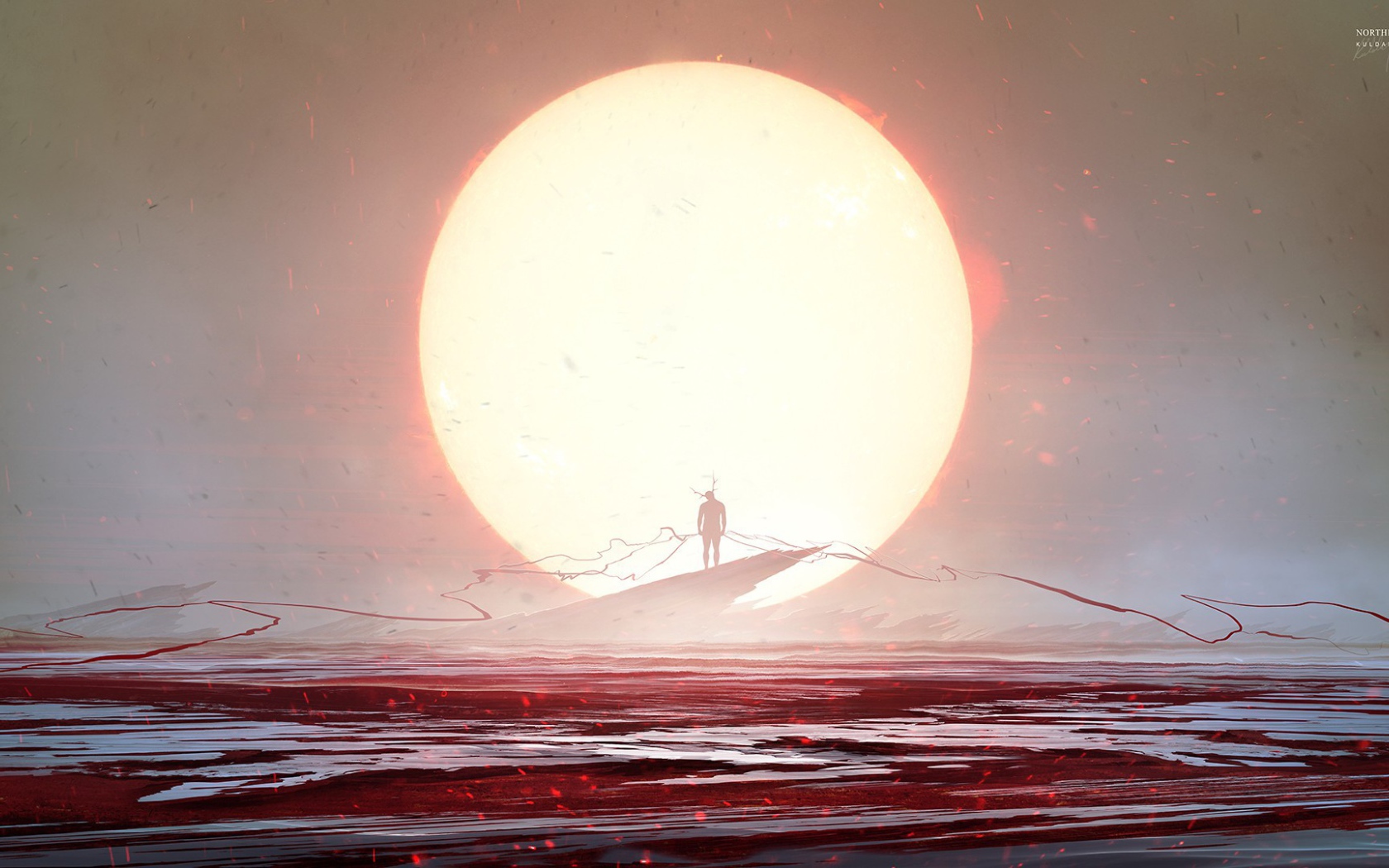 Солнце в чужом мире, Kuldar Leement