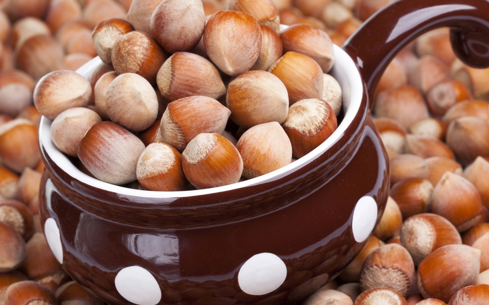 Лесные орехи в чашке