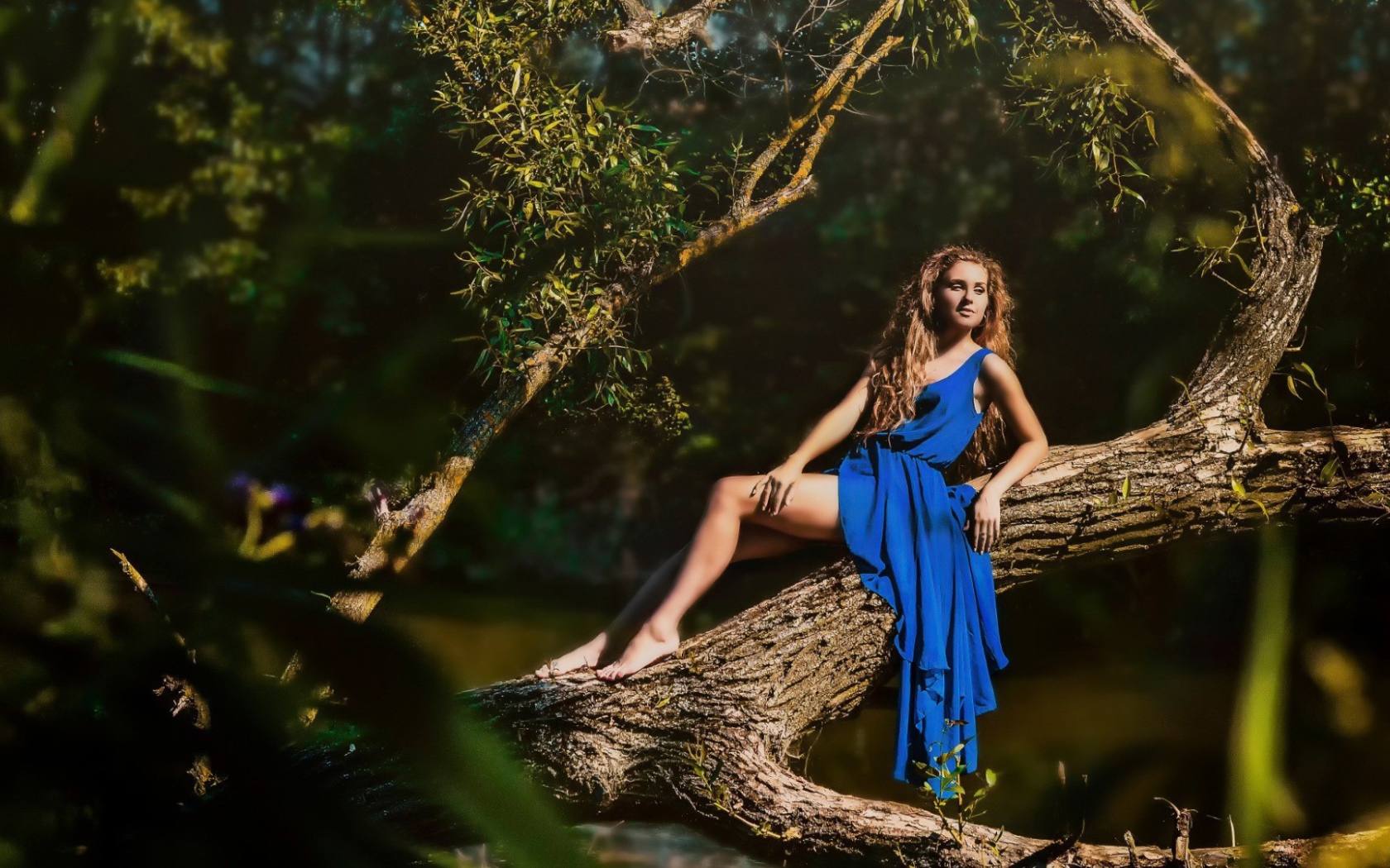 Девушка в голубом платье на дереве
