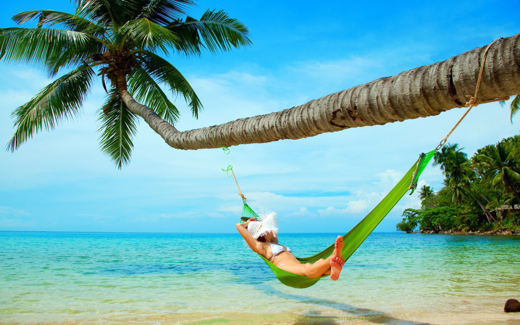 Девушка в зеленом гамаке под пальмой