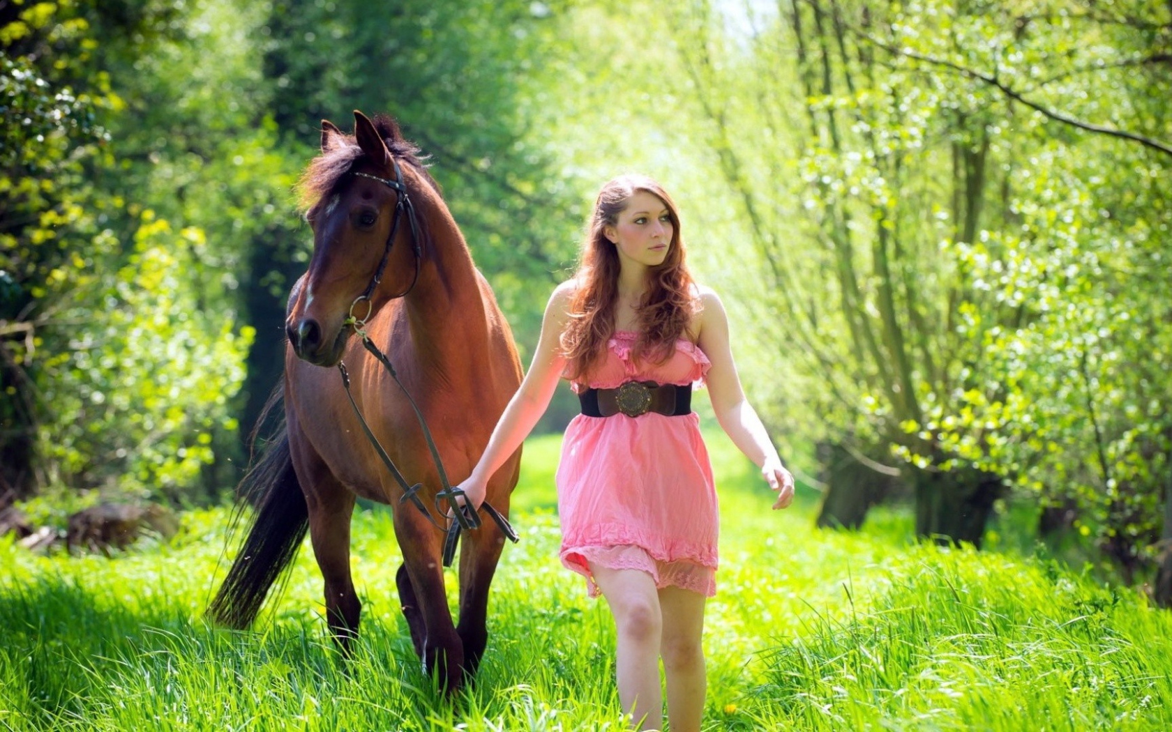 Девушка ведет лошадь под уздцы