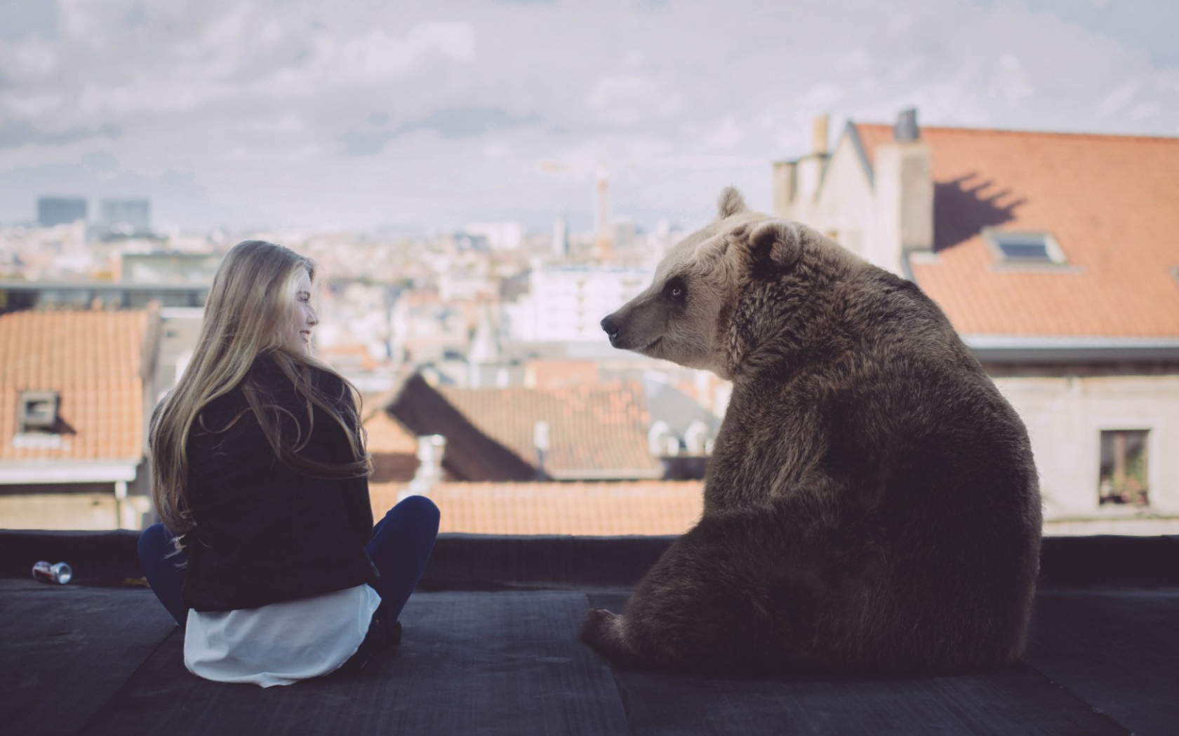 Девушка с медведем на крыше