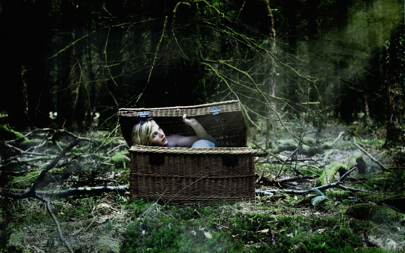 Блондинка в корзине в лесу