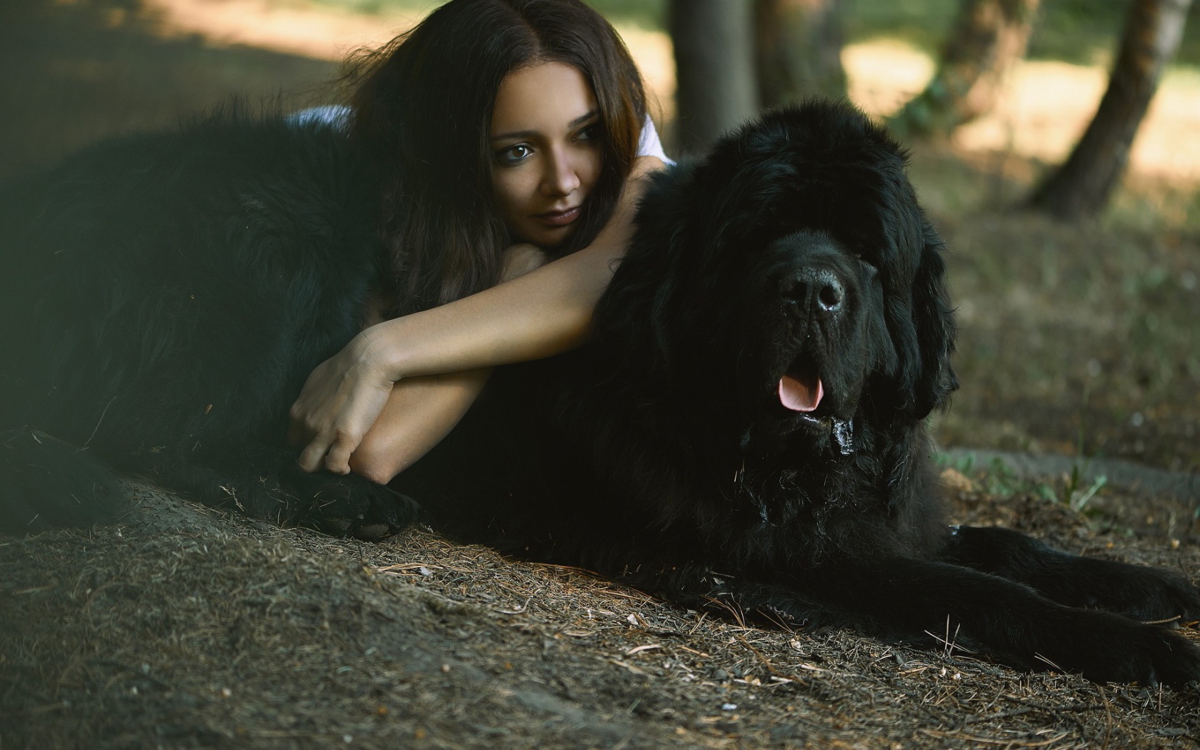 Девушка лежит на большой черной собаке