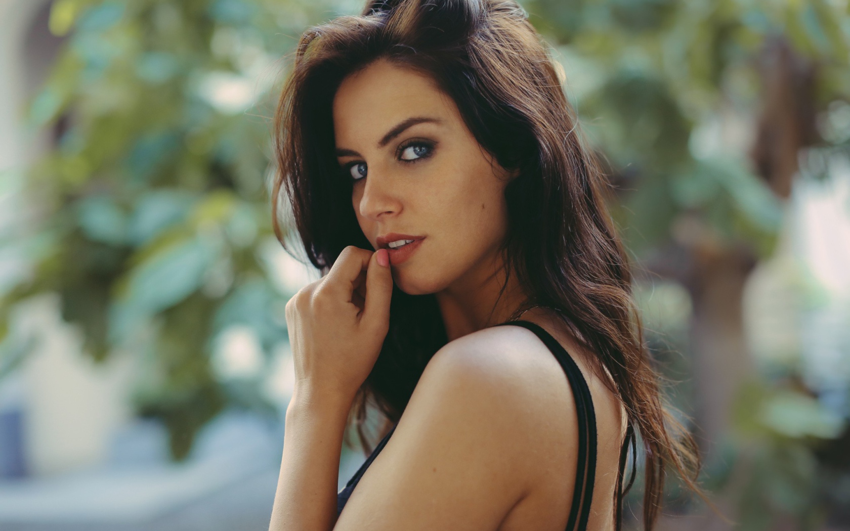 Модель Aurela Skandaj