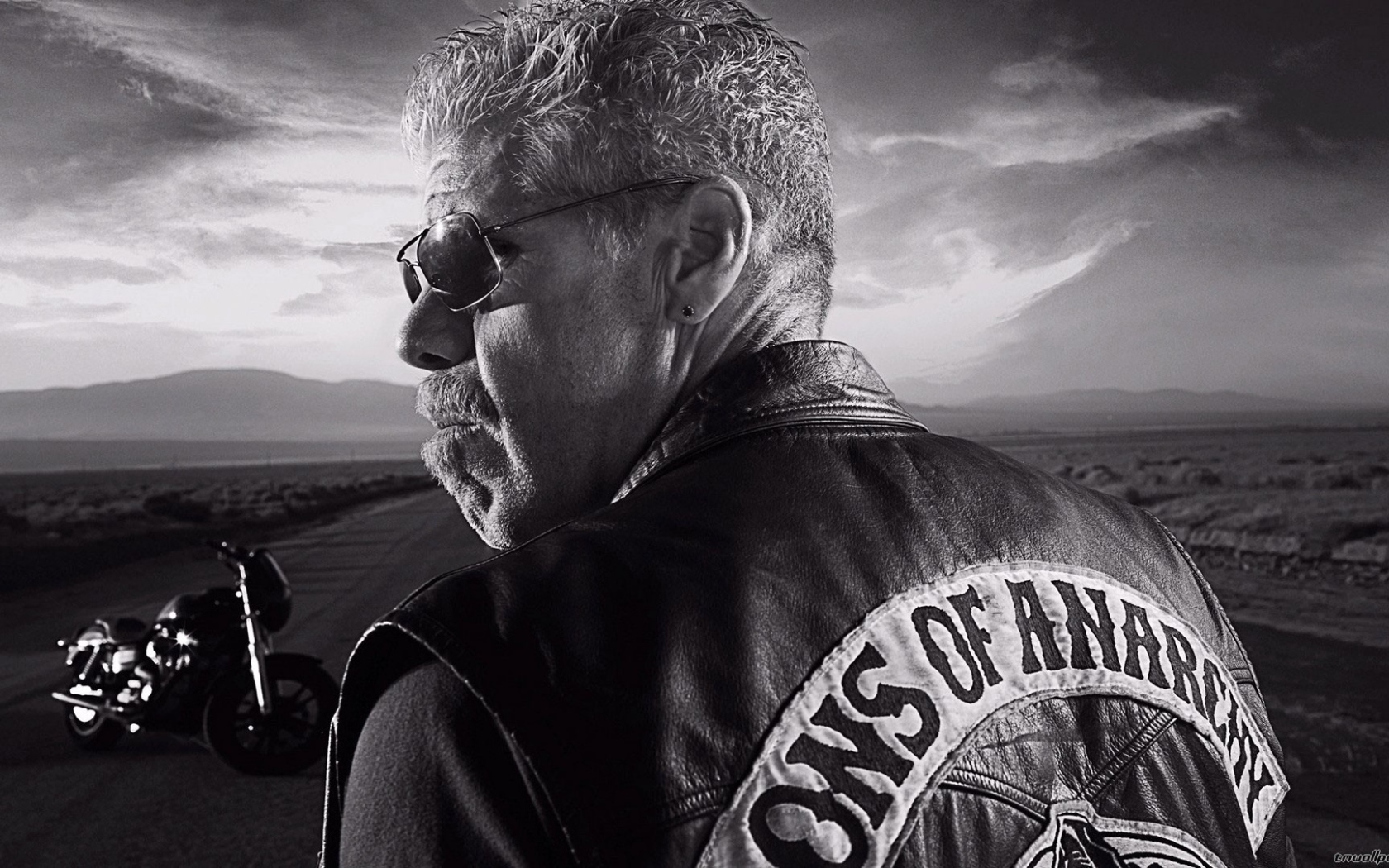 Байкер на дороге, Сыны анархии