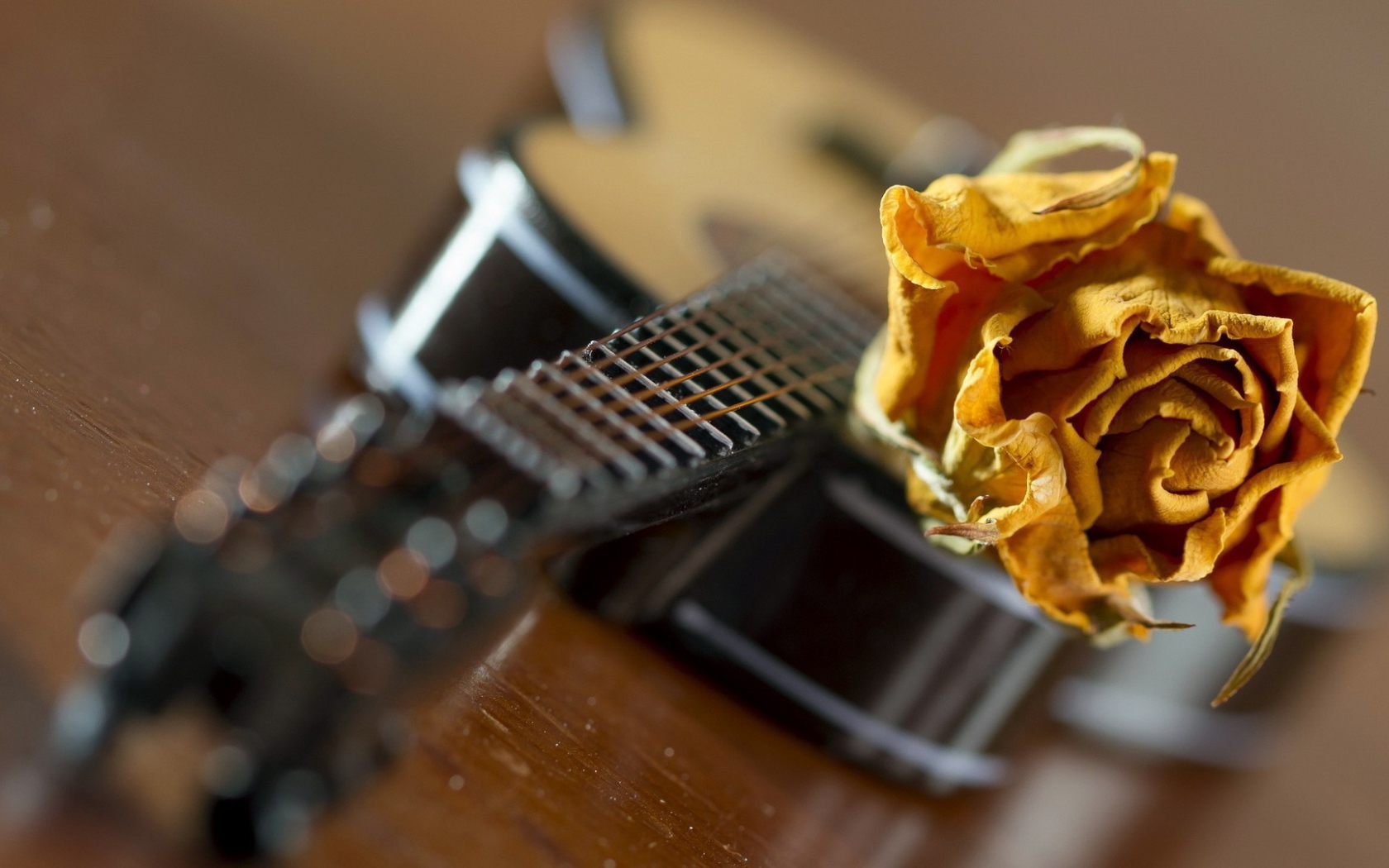 Желтая роза на гитаре
