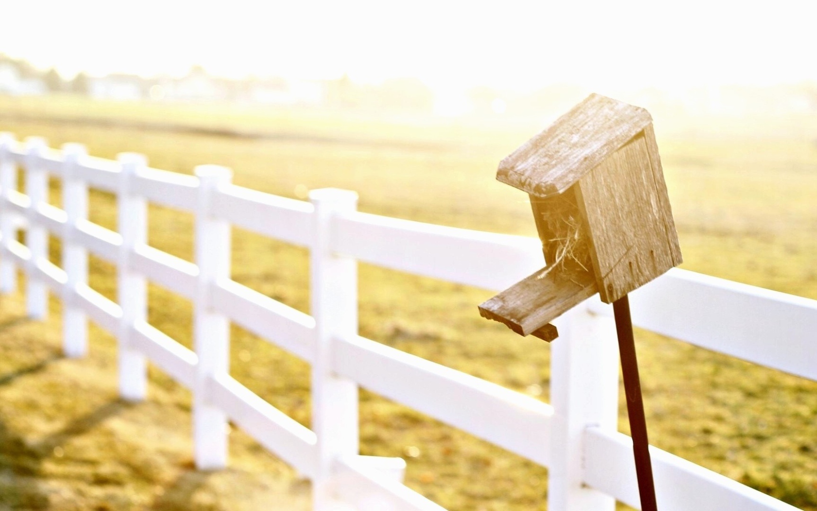 Домик для птиц у фермерского забора