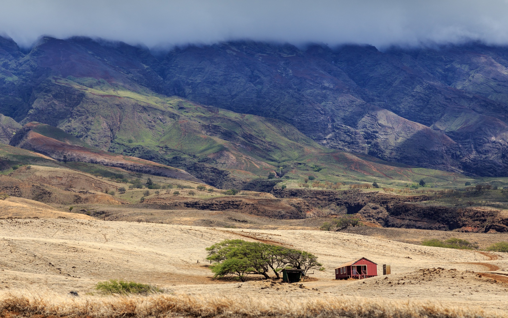 Домик у дерева в пустынной горной местности