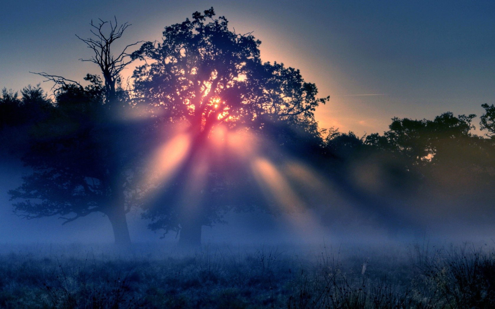 Красные лучи солнца в тумане