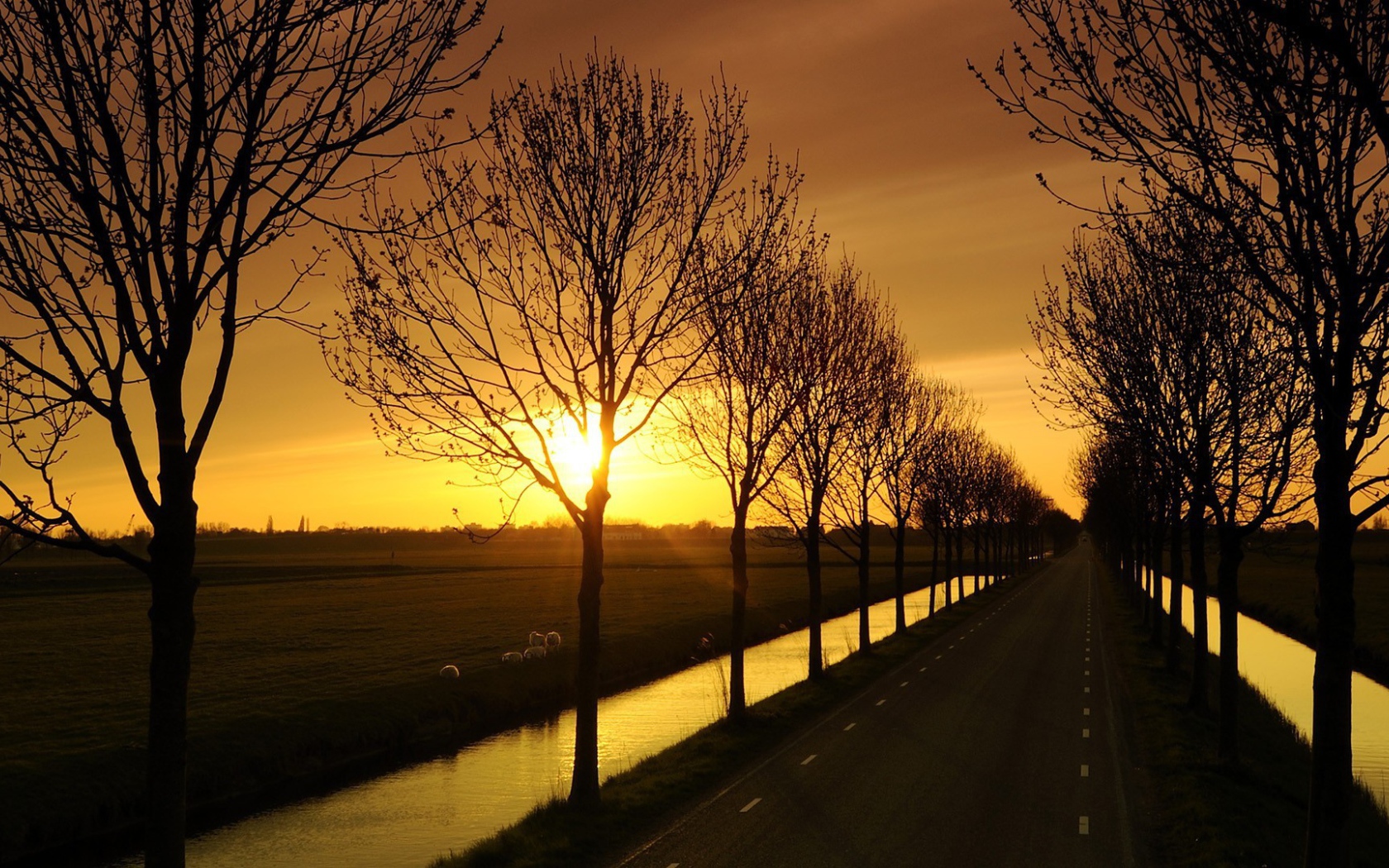 Дорога с каналами по краям