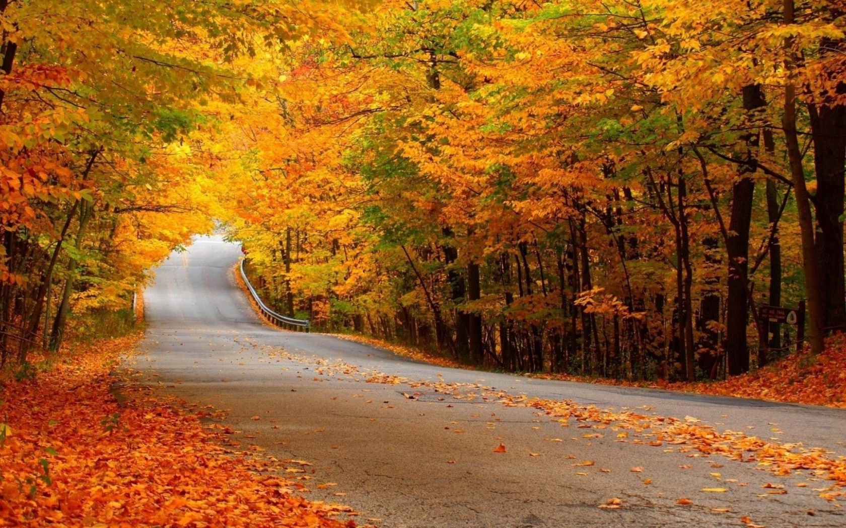 Автомобильная дорога в осеннем лесу