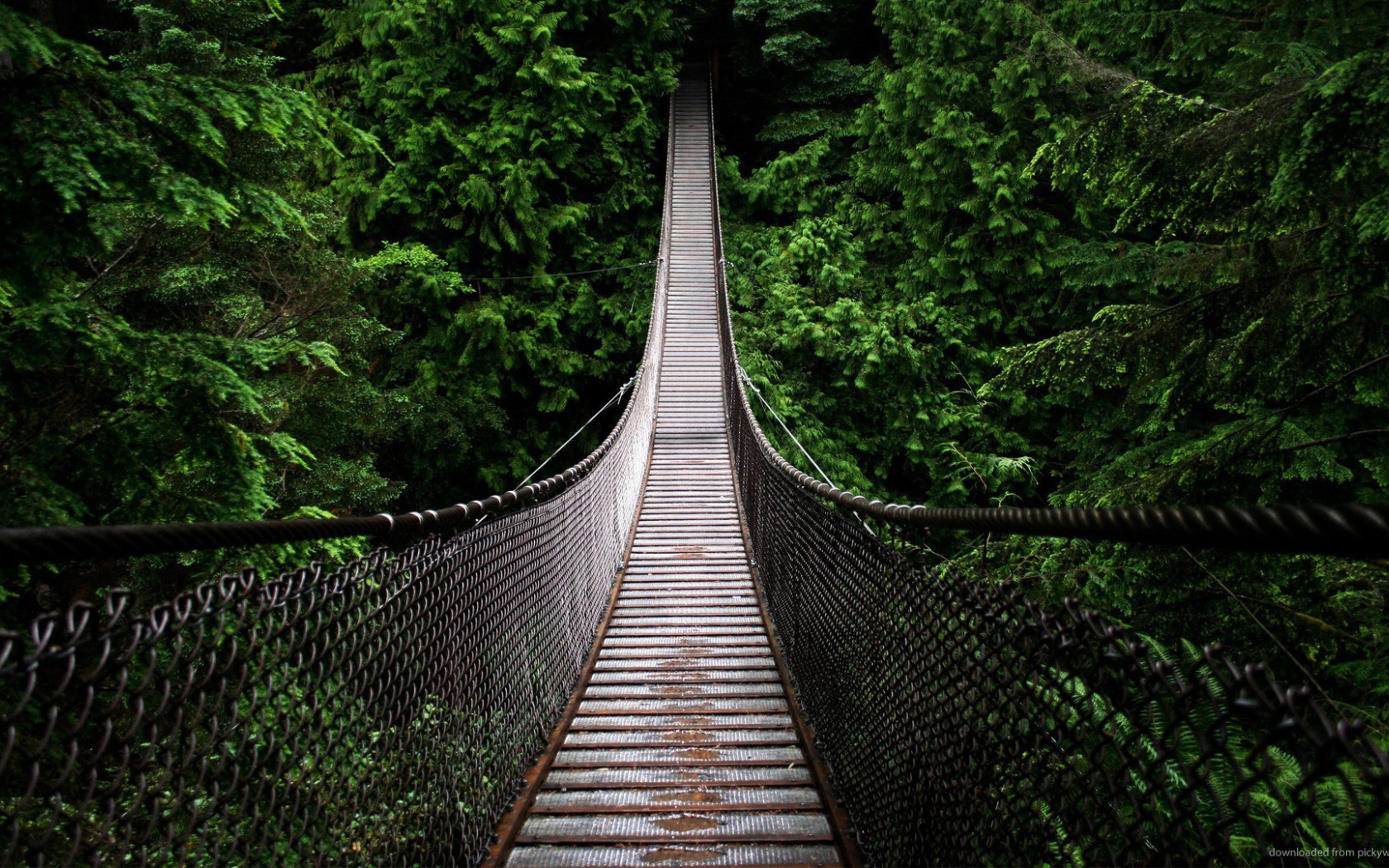 Подвесной мост на канатах