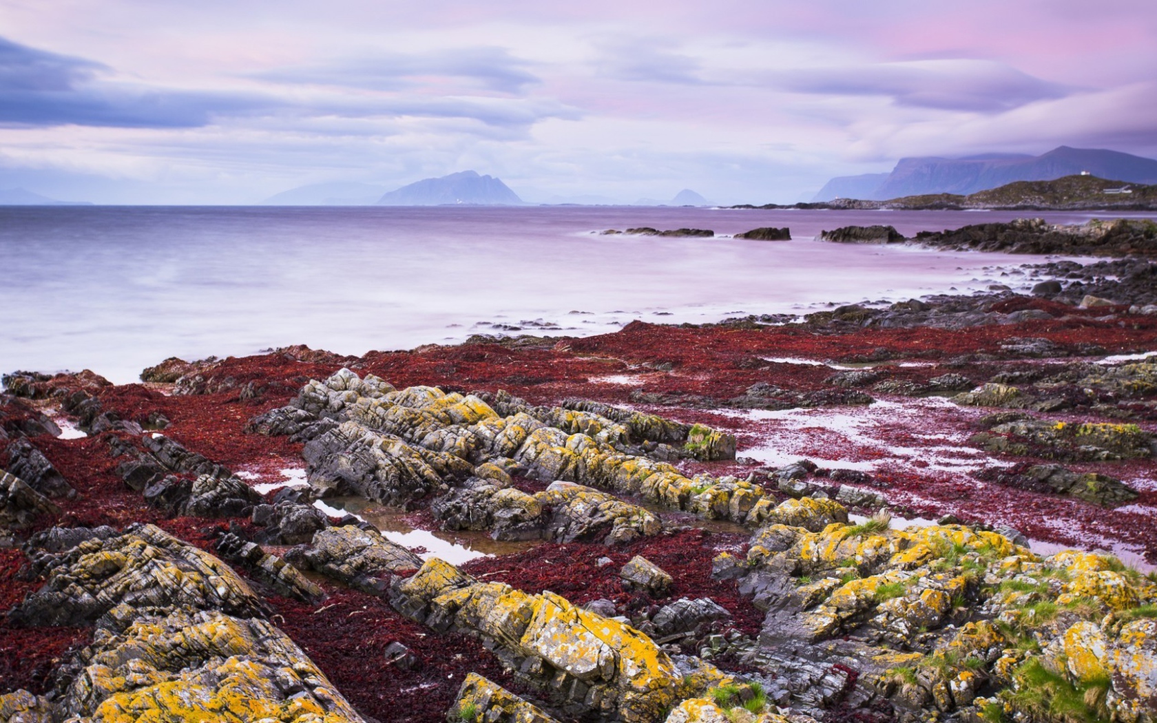 Желтые камни на берегу моря