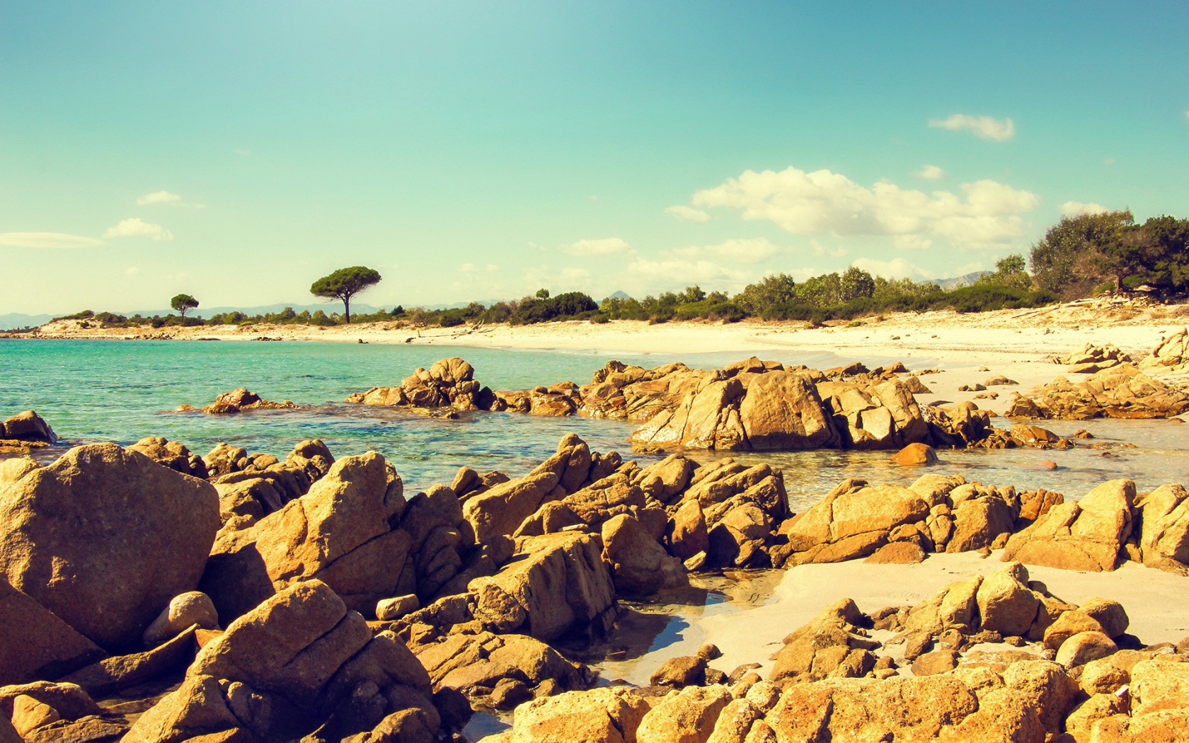 Коричневые камни и скалы на берегу моря