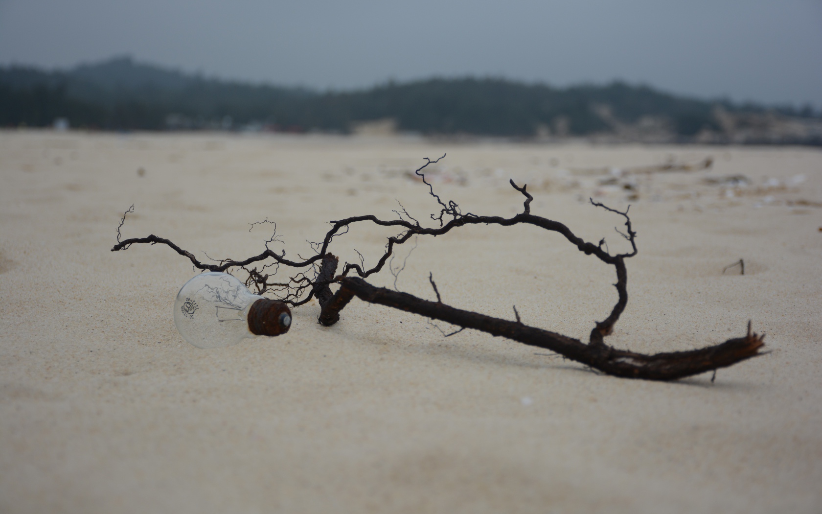 Черная ветка на белом песке