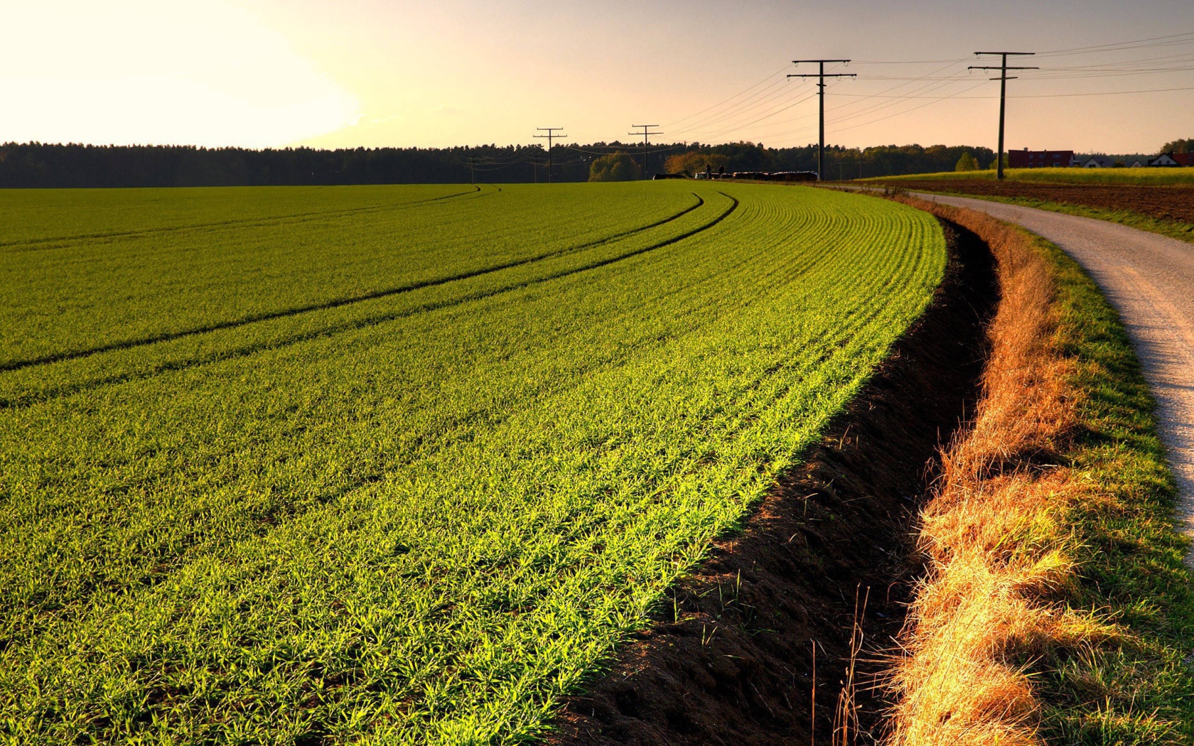 Канава на краю зеленого поля